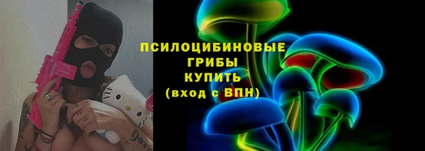 spice Арсеньев