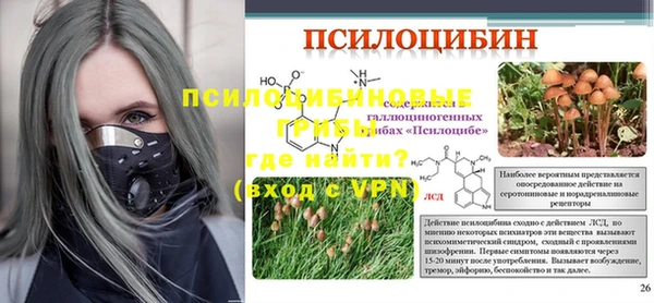 мет Елабуга